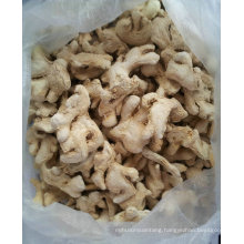 Professional supplier of new harvest healthy ginger assam